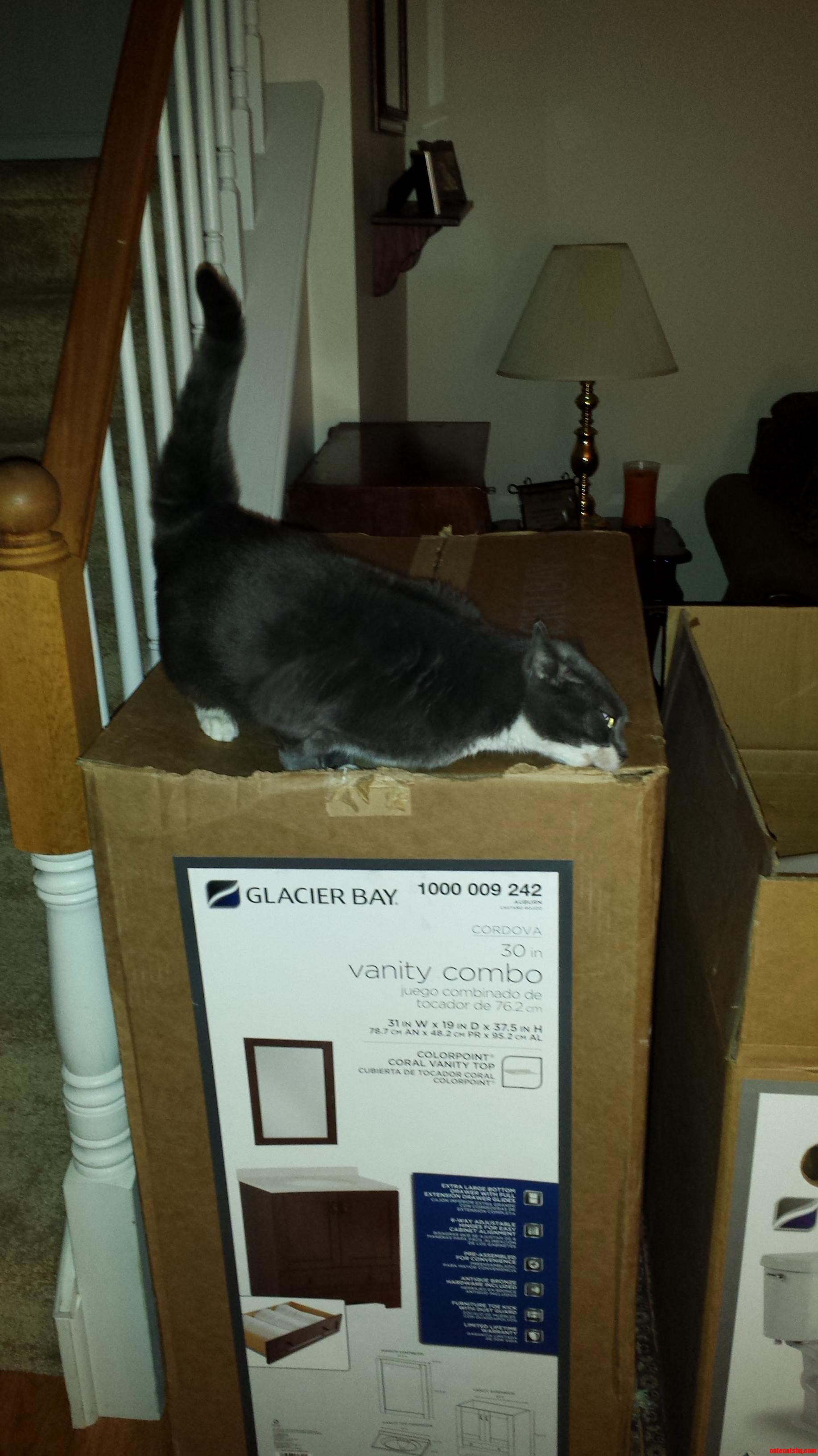 She Loves Boxes of All Sizes