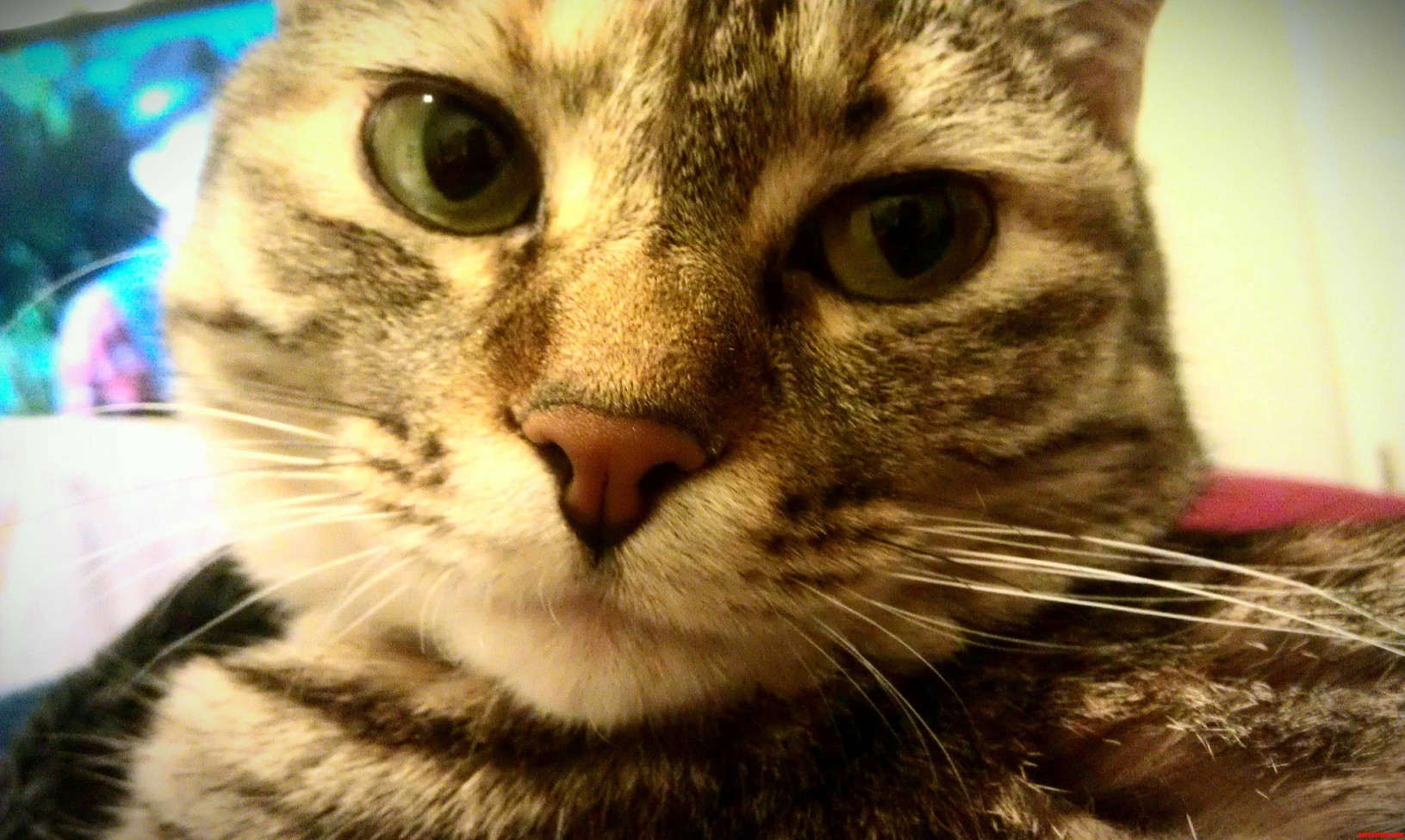 She Loves Modeling for Me.