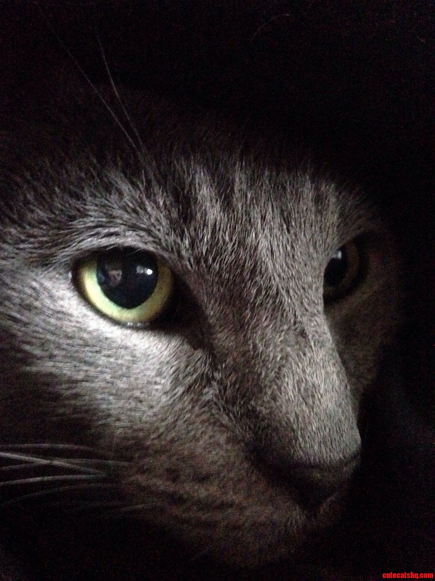 She May Be Getting Old and Cantankerous but I Love Her.