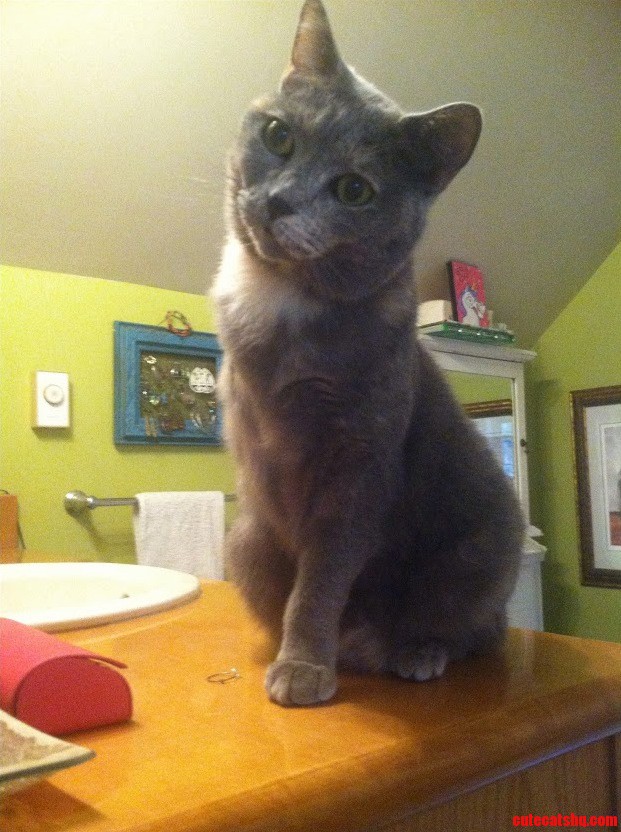 She May Have Lost a Leg but She Didnt Lose Any Cute