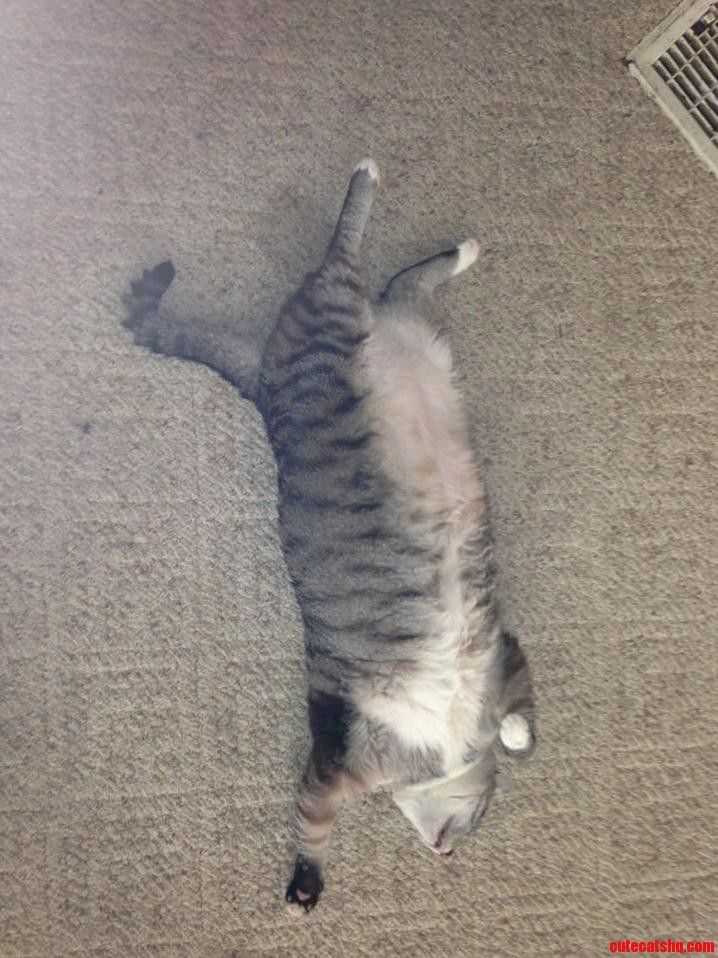 She Really Is Such a Majestic Creature.