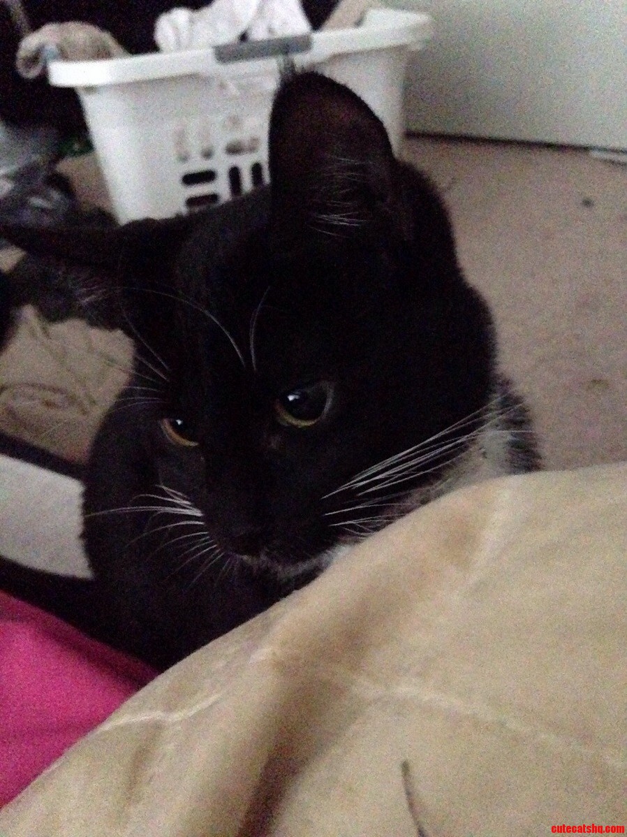 She Refused to Look at Mecamera