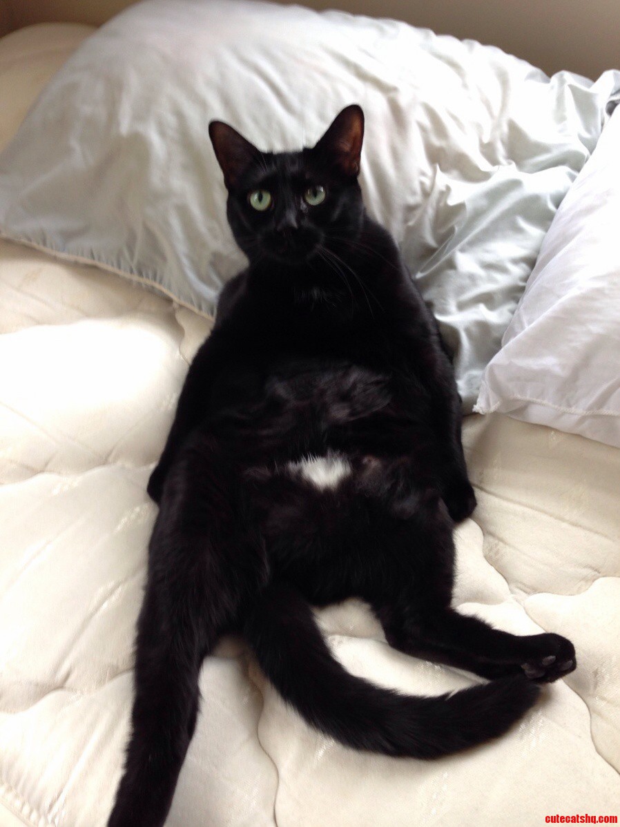 She Sat Like This for Hours.
