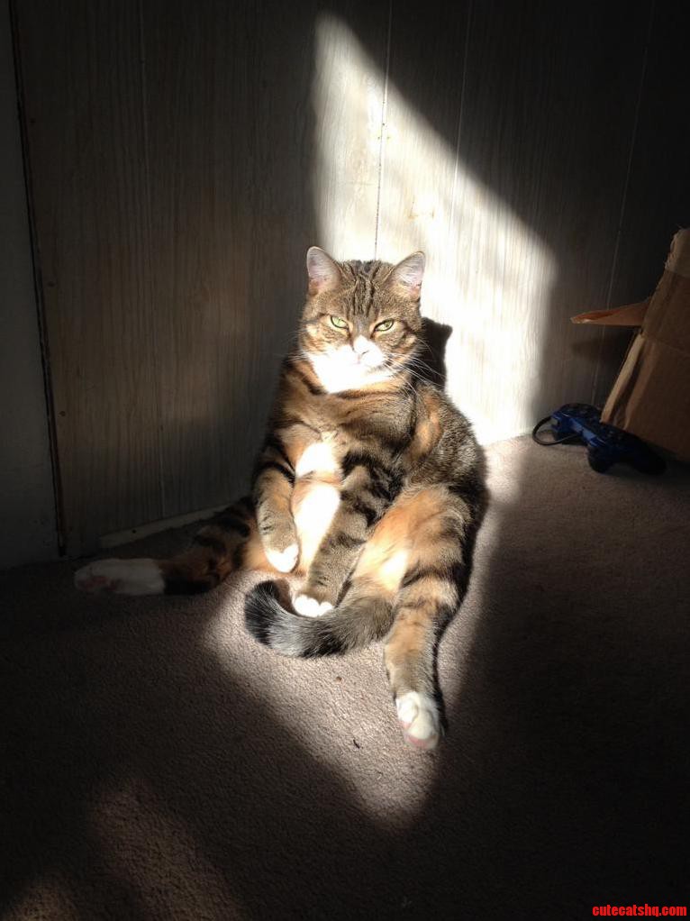 She Sits Like a Human Sometimes