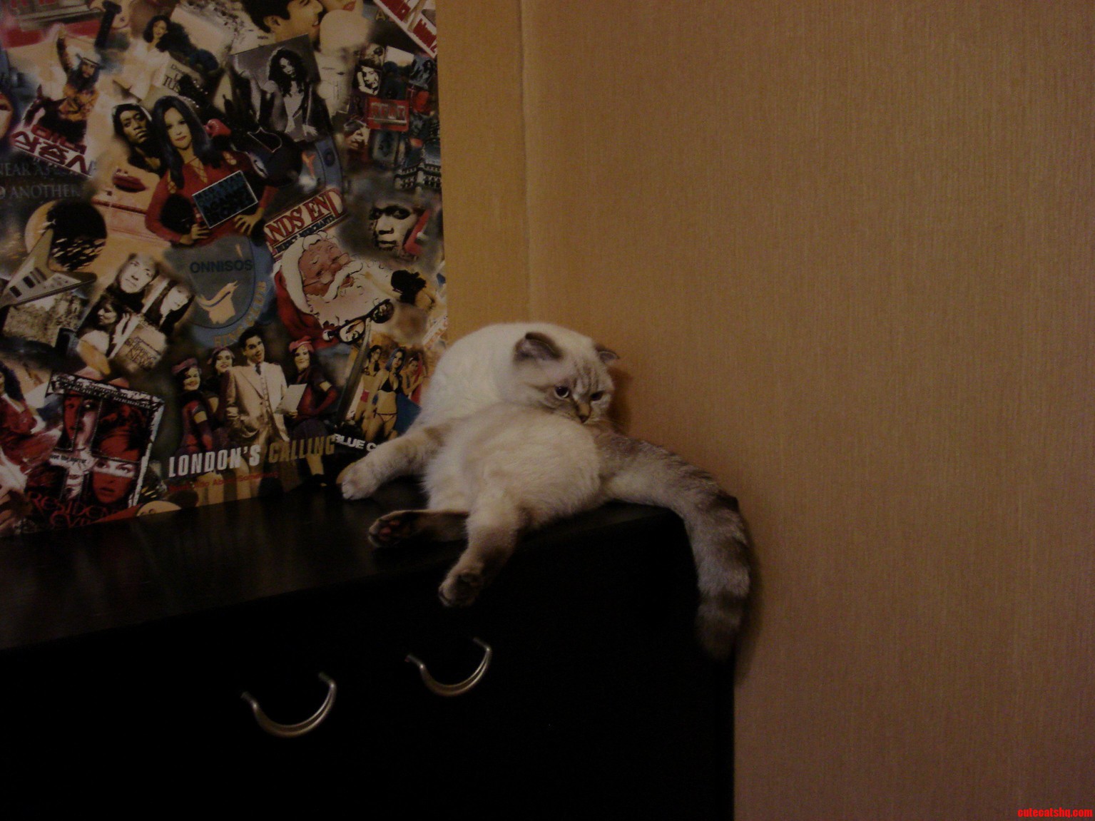 She Was Sitting Like This for Like 5 Minutes