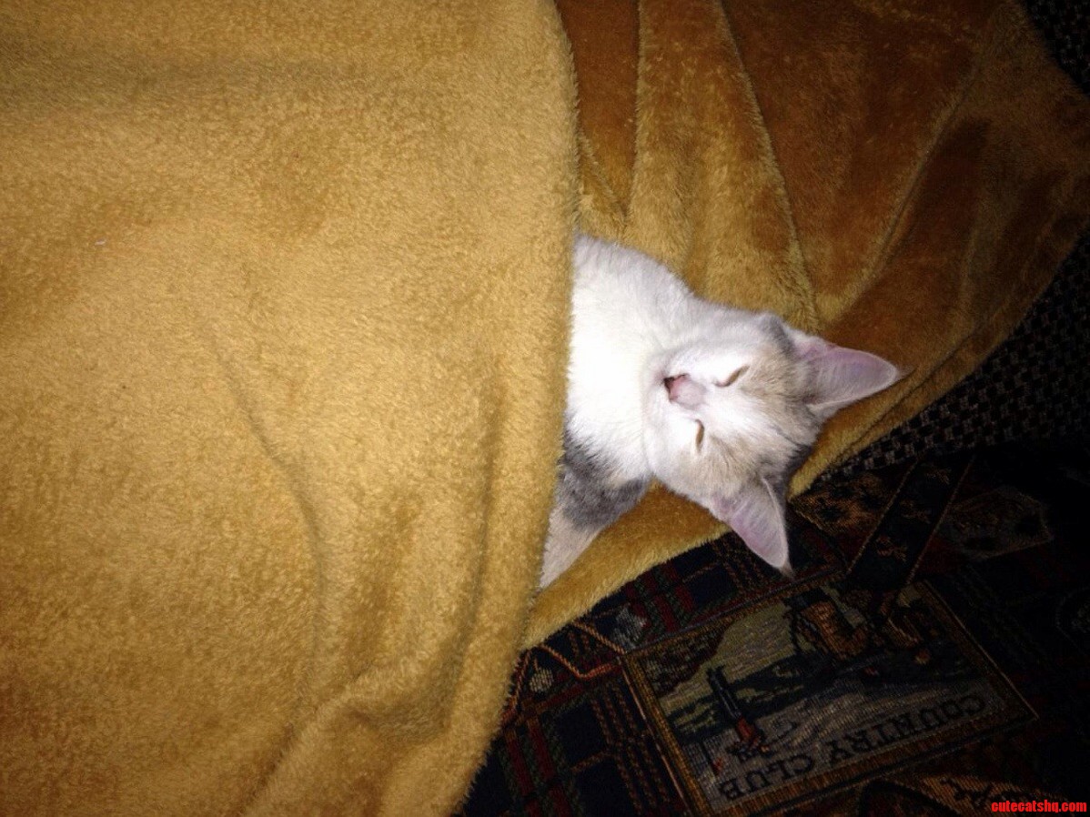 She Wont Go to Sleep Until She Has Been Tucked In.