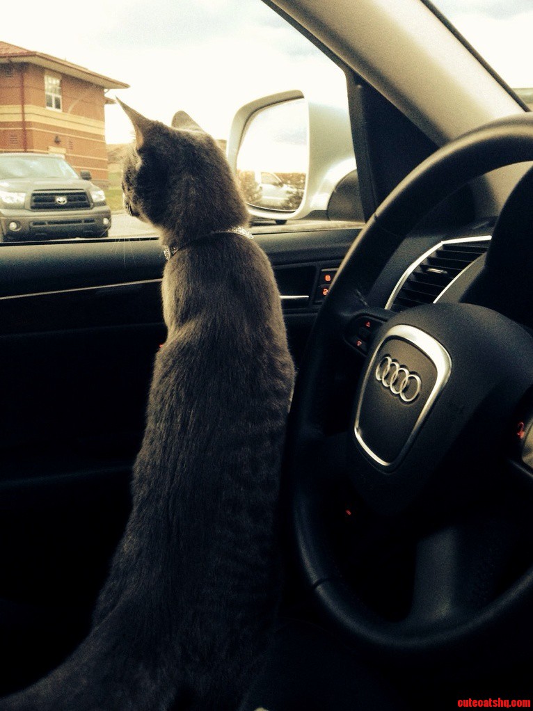 Sherlock Loves Bye Byes