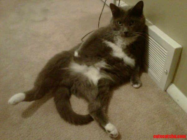 Shes a Lady Whoa-whoa-whoa Shes a Lady and That Lady Is Mine