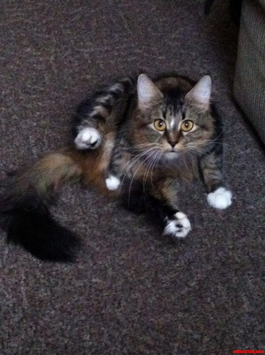 Shes a Super Freak. Super Freak.
