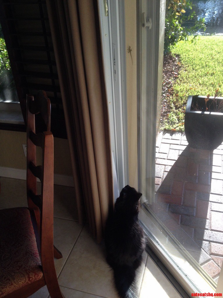 Shes Been Like This for the Past 20 Minutes.