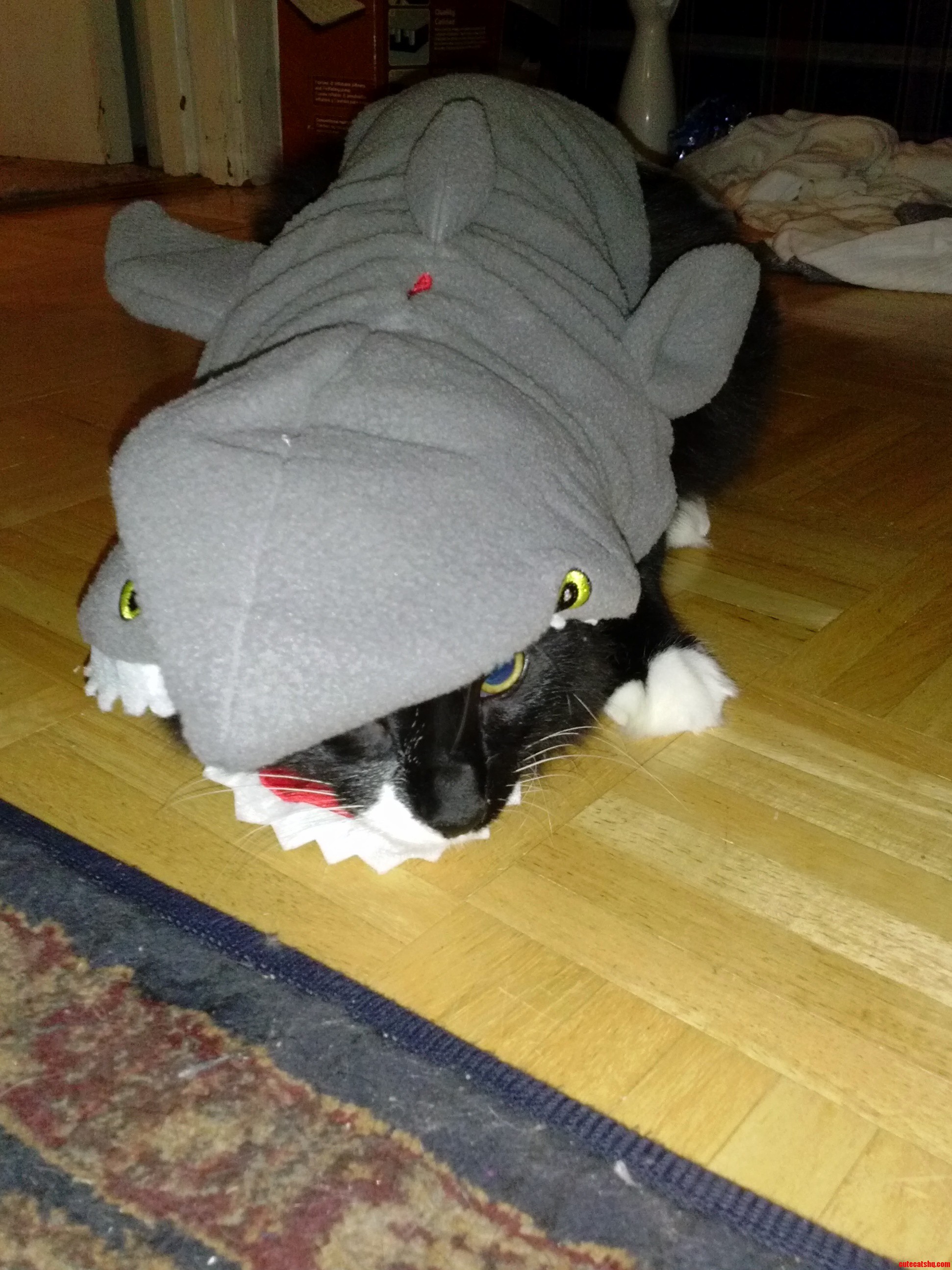 Shes Not Exactly Happy About This