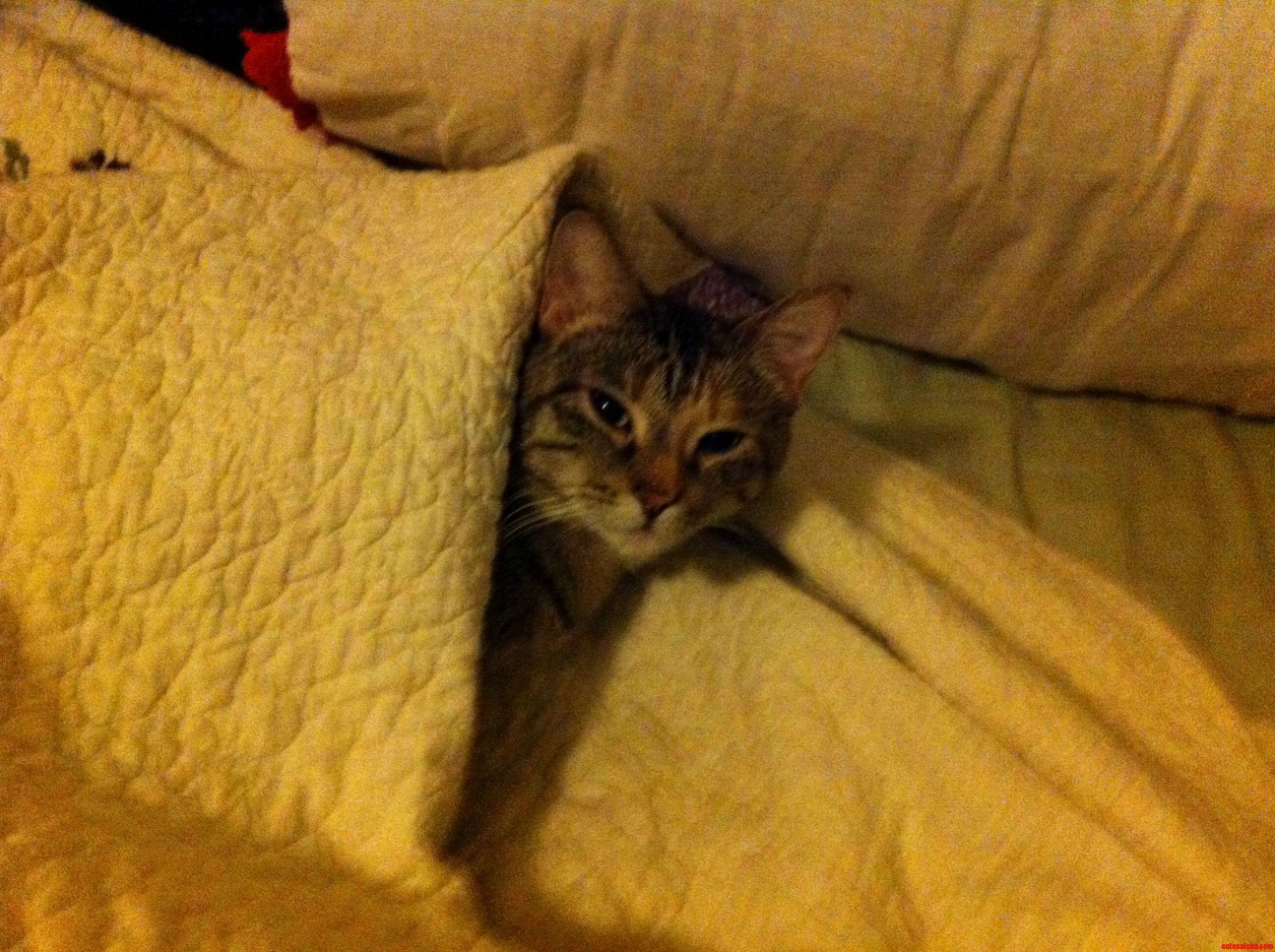 Shes Really Not Pleased with How Cold the House Has Been Lately.