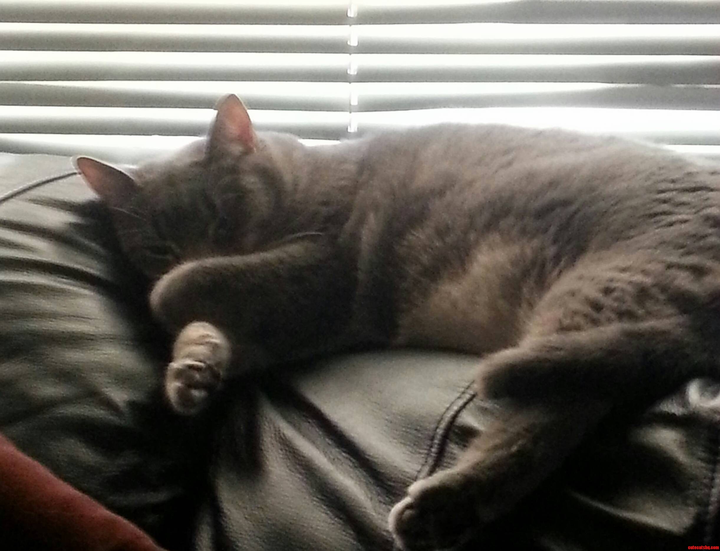 Shes So Tired. and Ashamed.