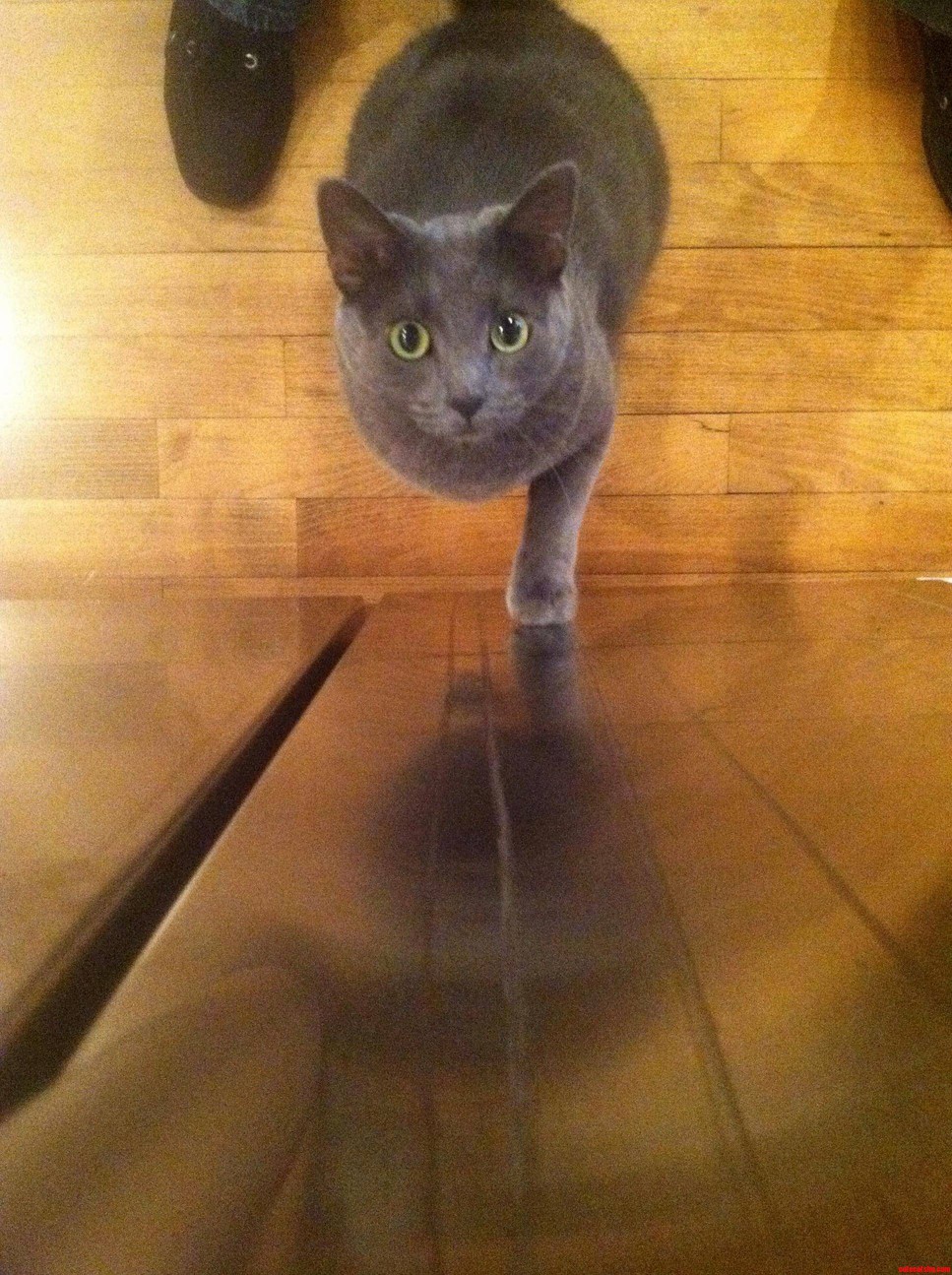 Shes Waiting for Me to Push the Ice Button. Ice Is Favorite Thing Ever.