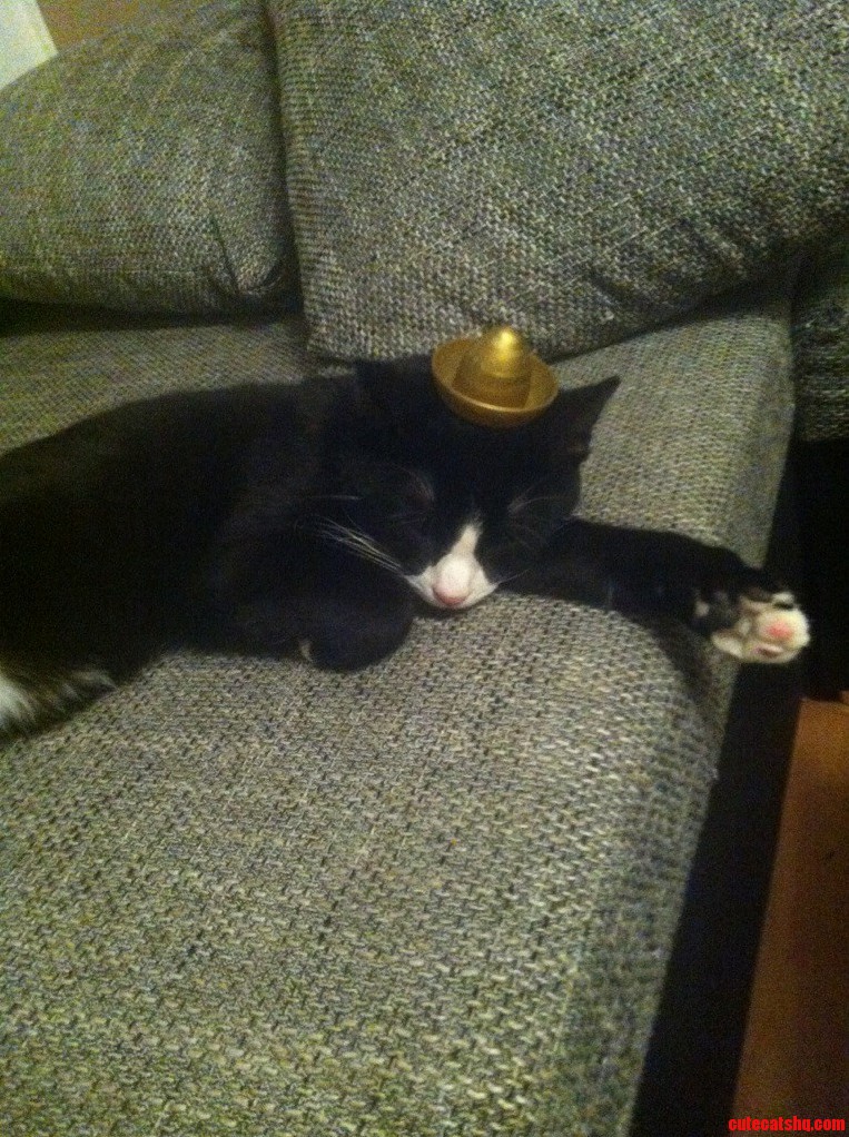 Siesta