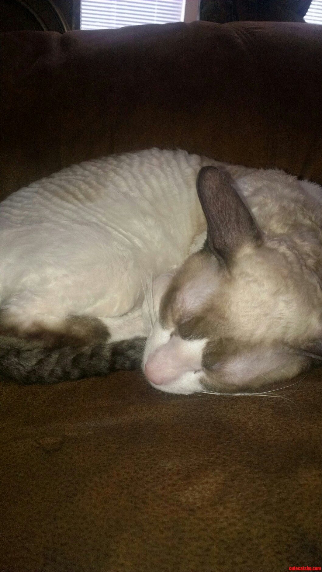 Sleeping on Tha Couch