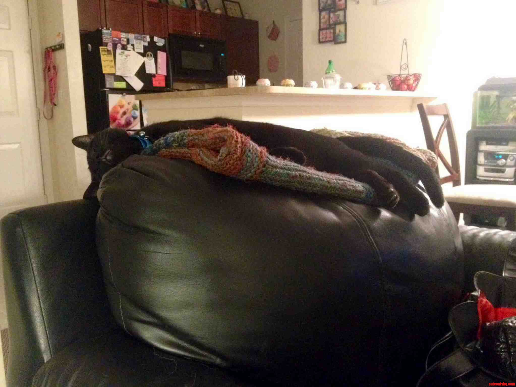Sleepy Boy