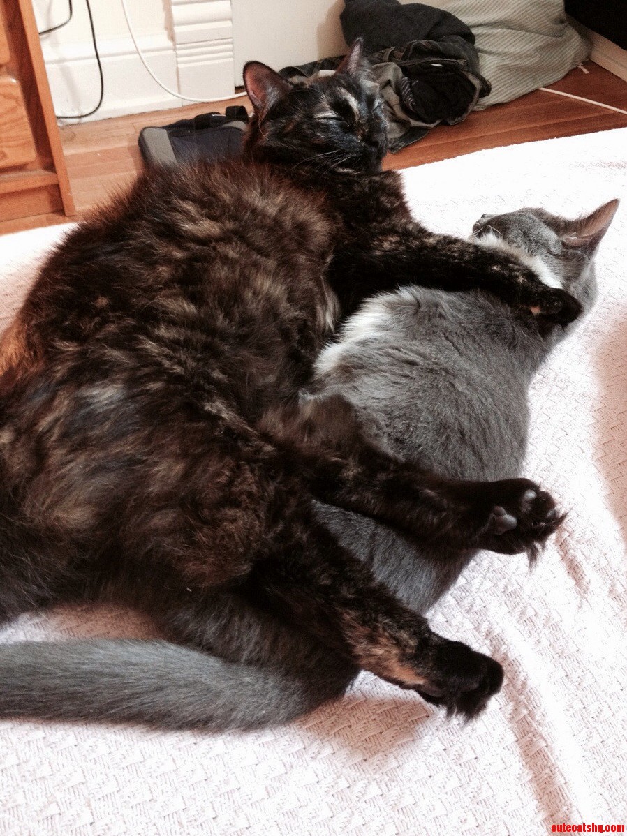 Sleepy Sleepy..