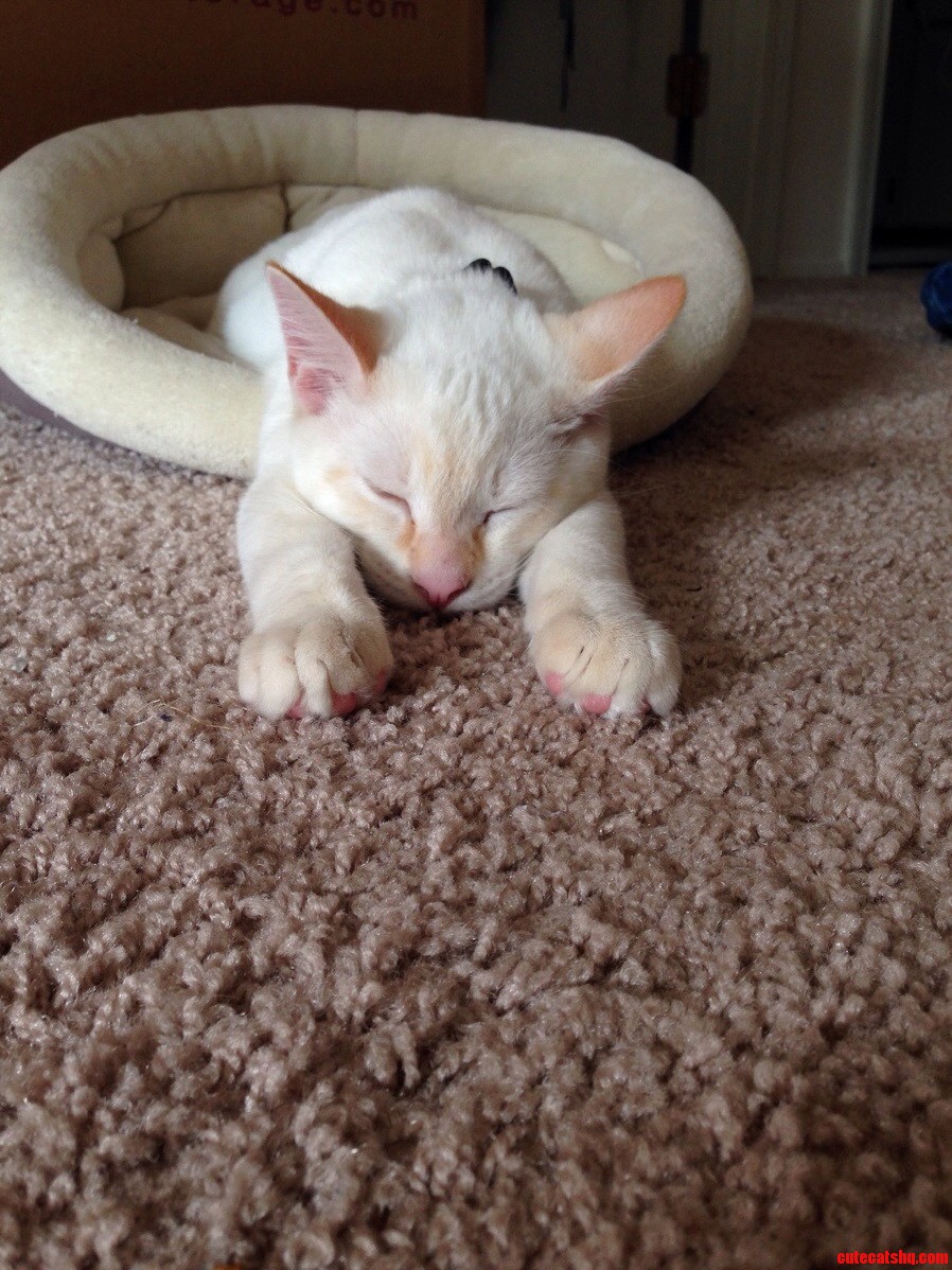 Sleepy Time