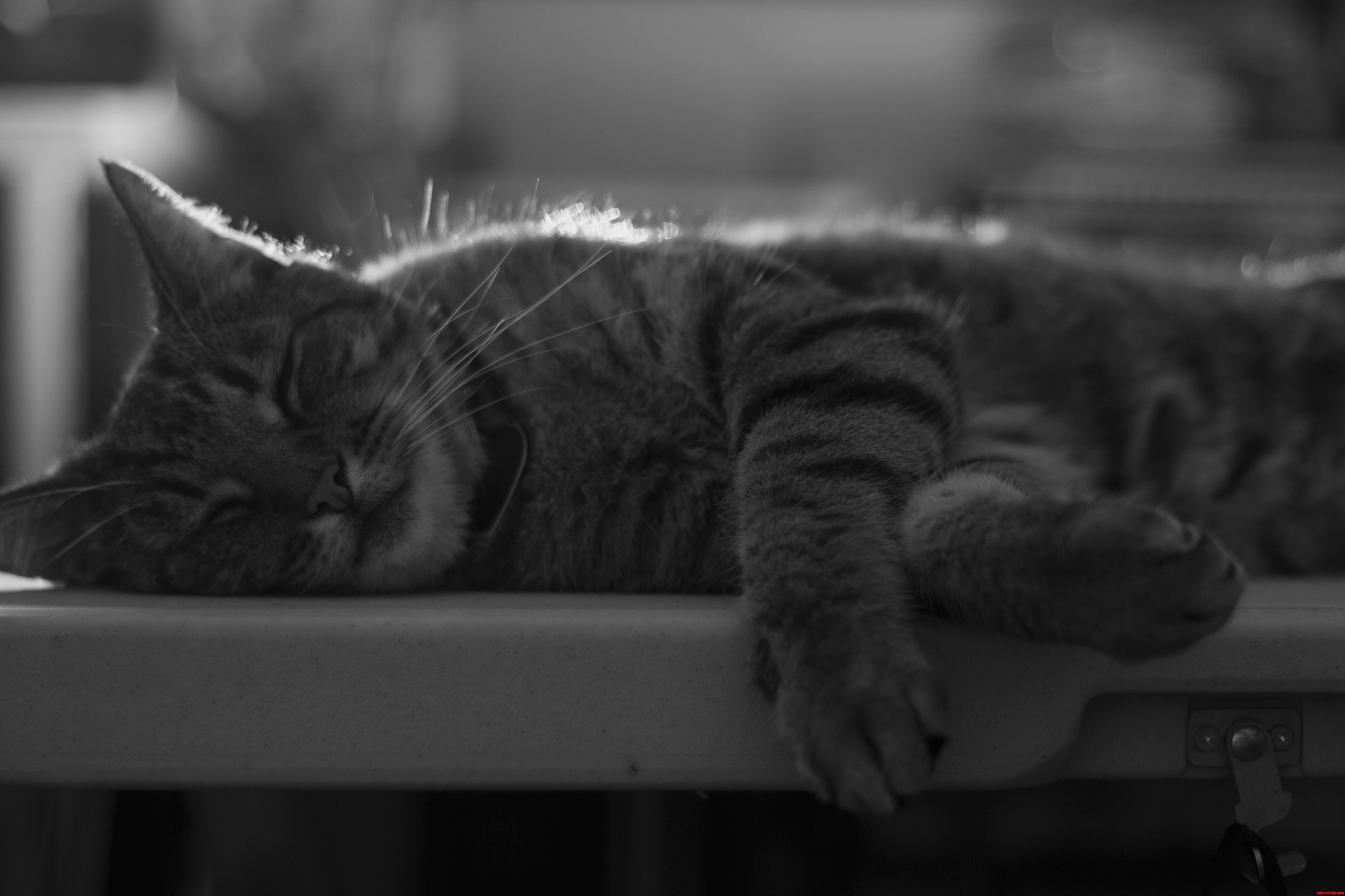 Slipping Into His Dreams
