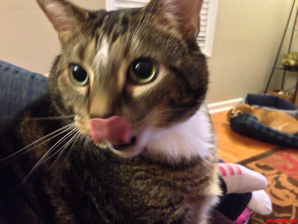 Slurrrp