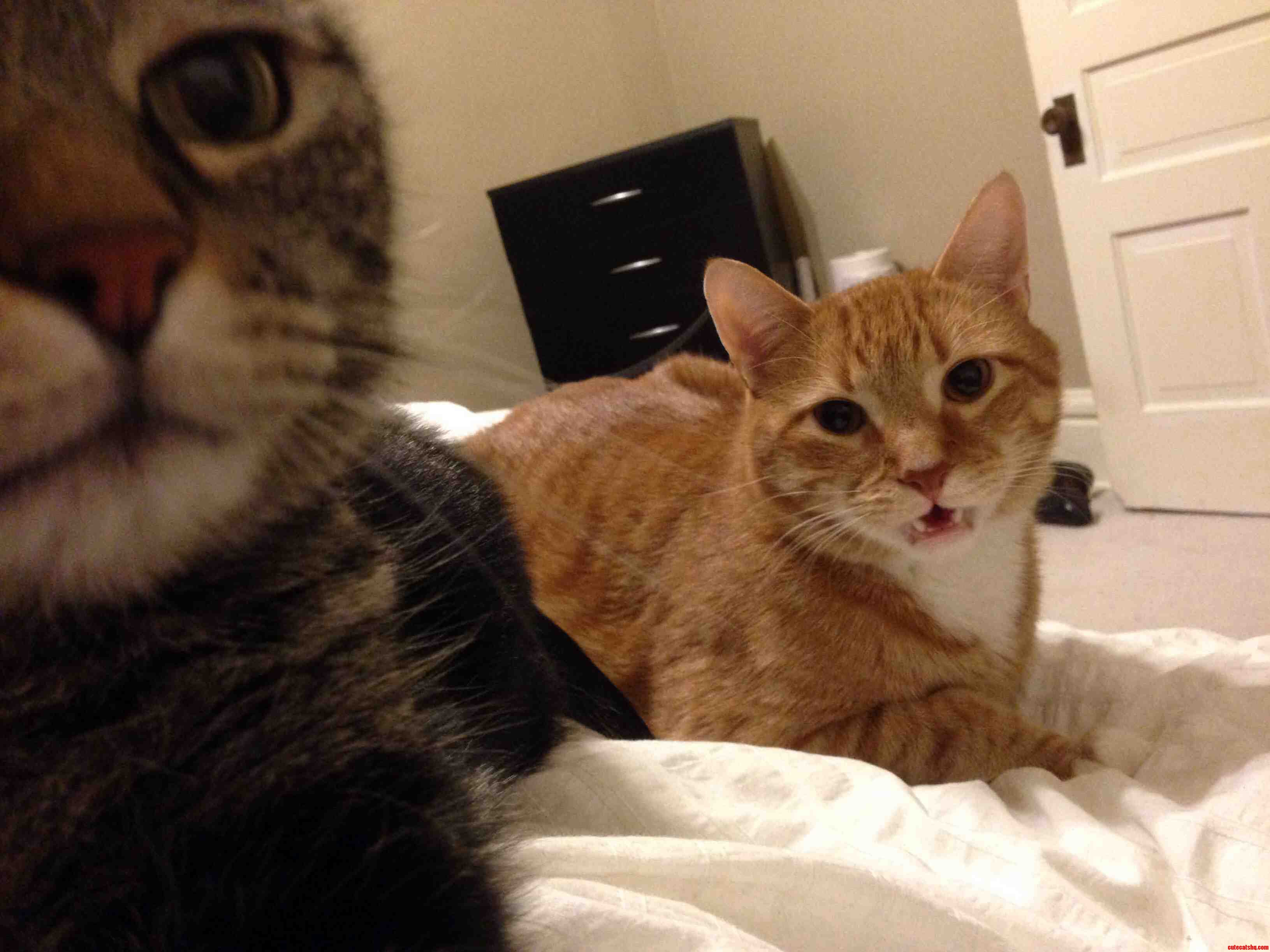 Snacks Is Making His Fat Kid at Fat Camp