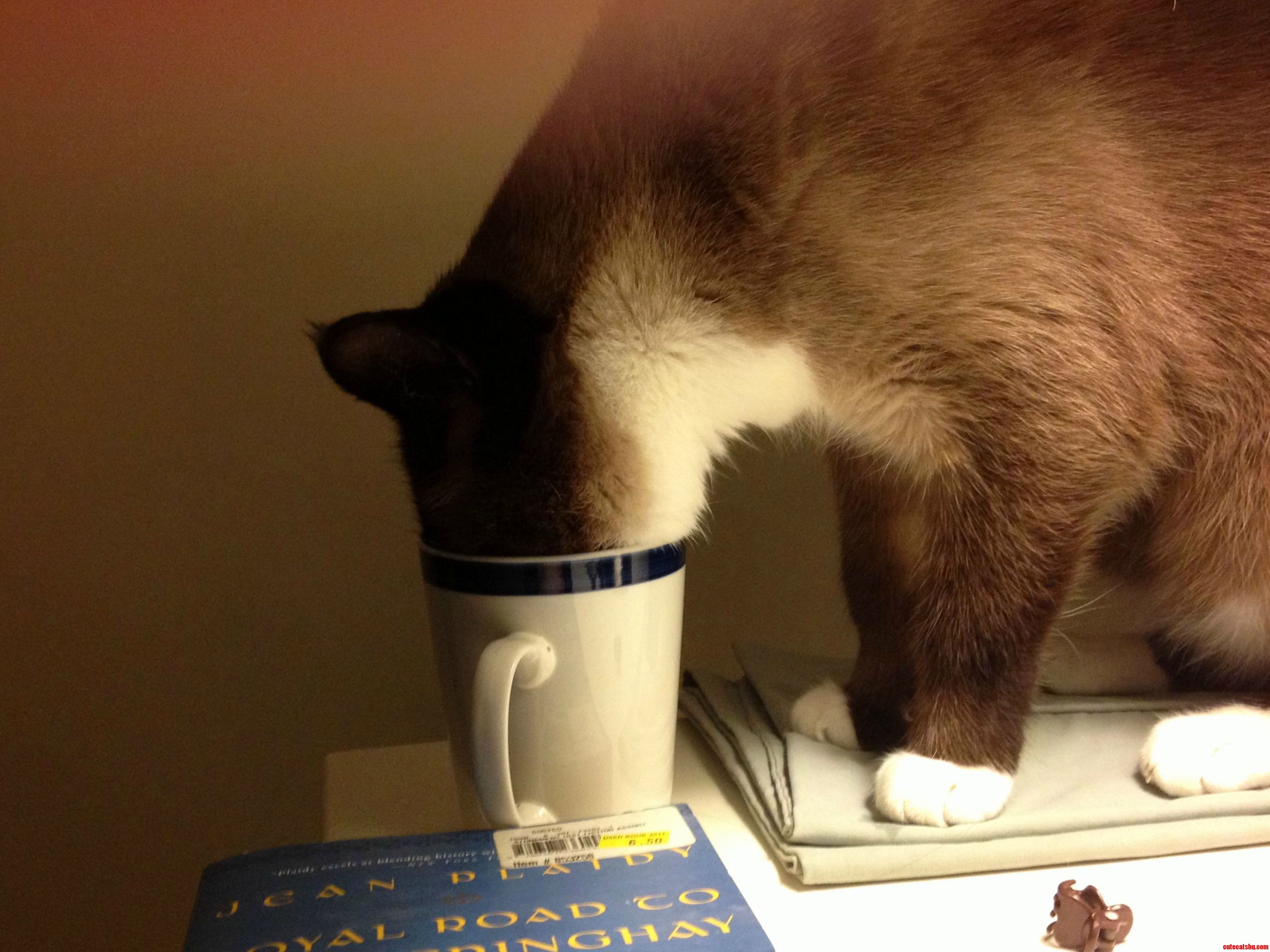 Sneaking a Drink
