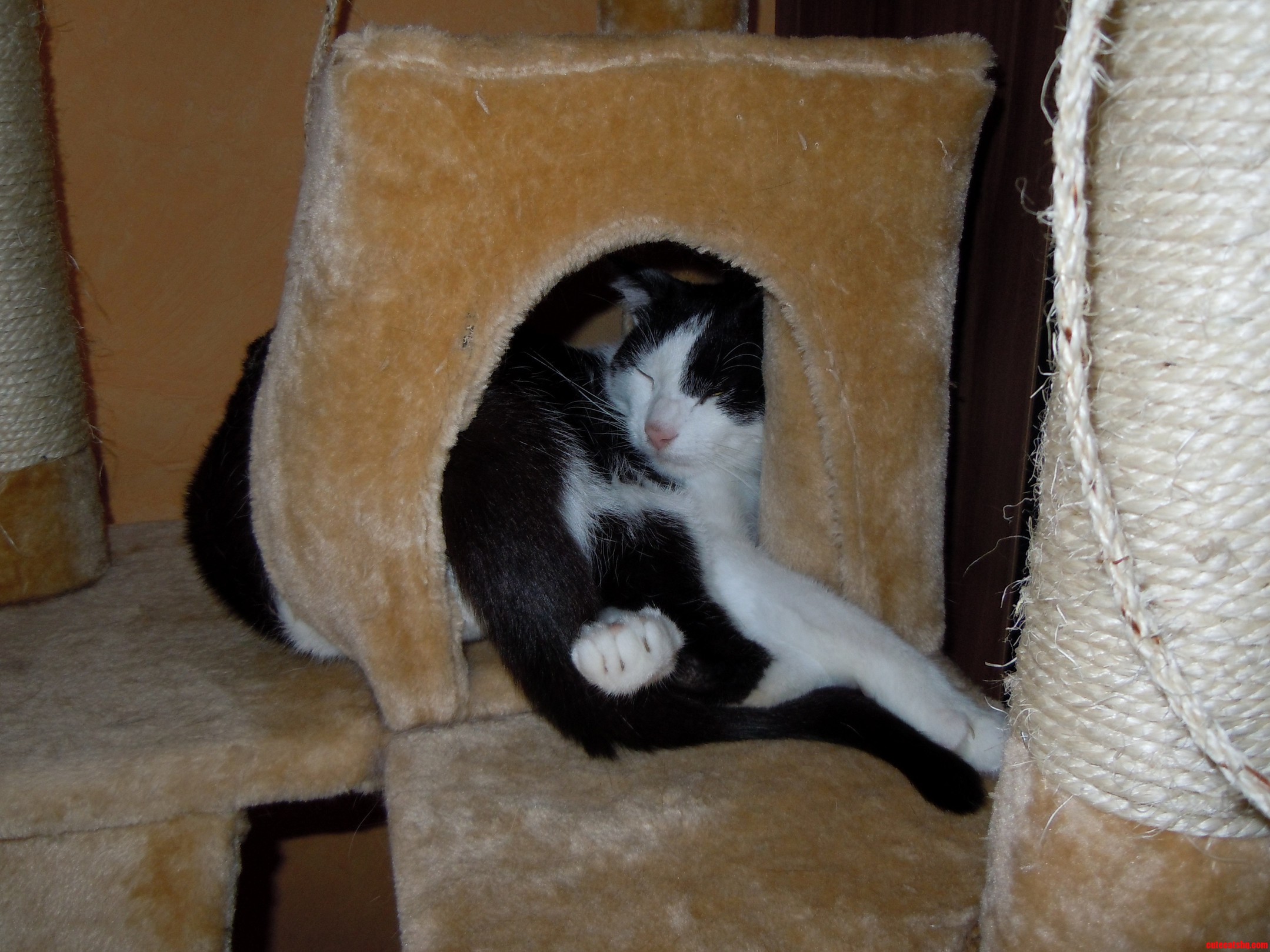 So Comfy