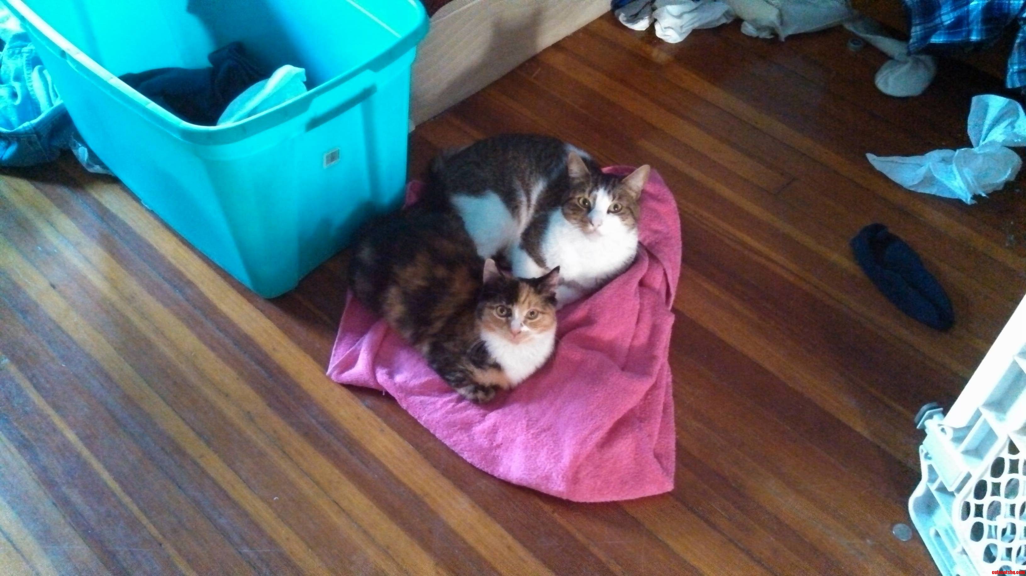 So I Went to Go Grab My Towel And...