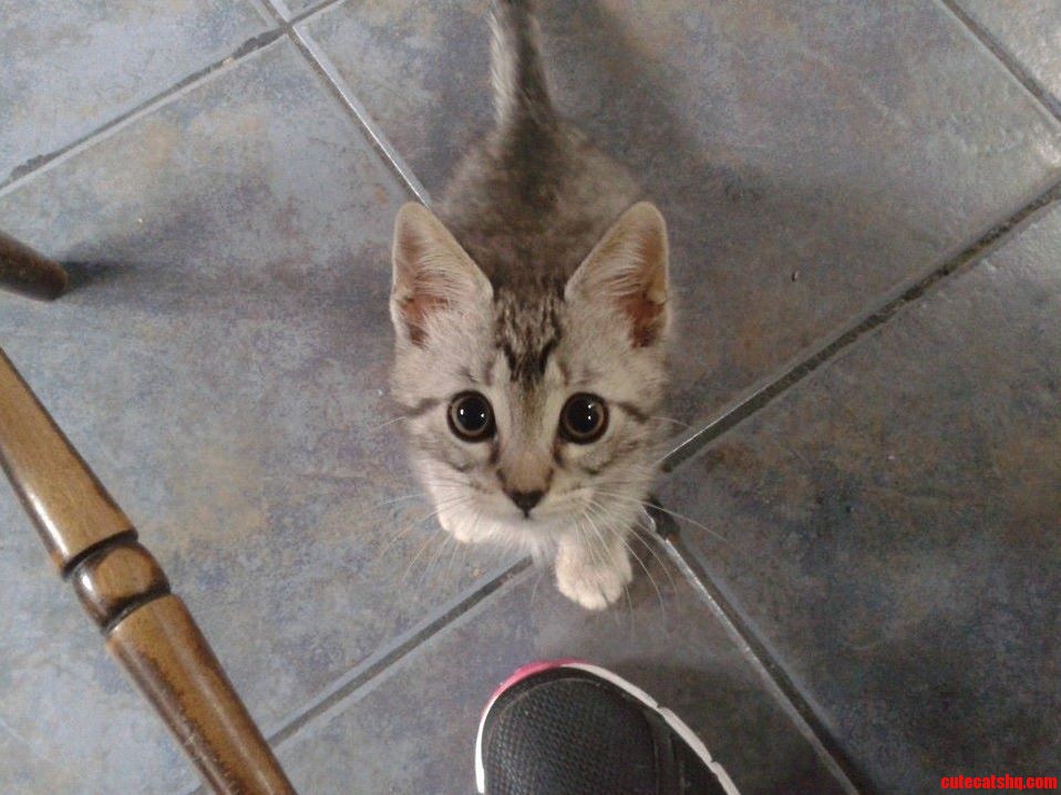 So She Keeps Giving Me This Look.