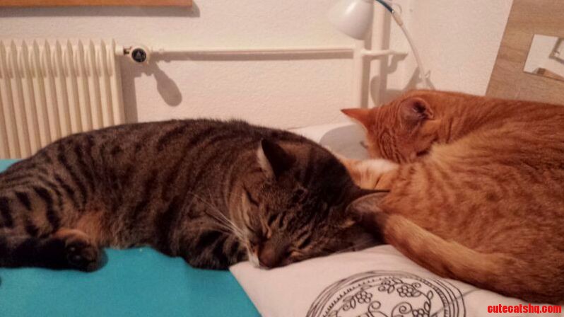 So This Is What My Side of the Bed Looks Like.