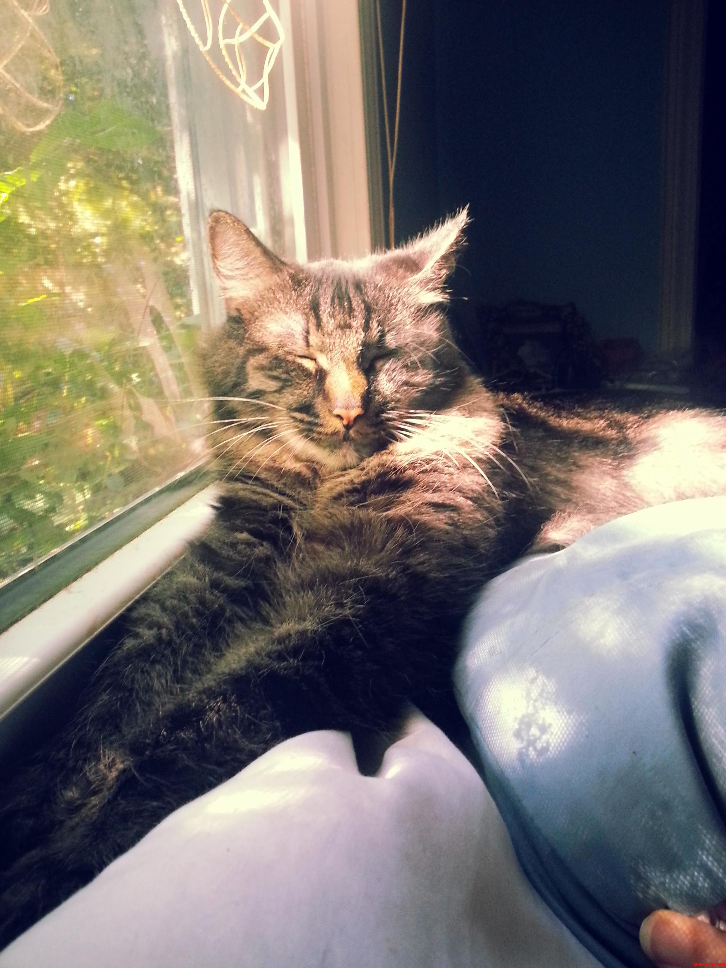 Soaking in Some Morning Sun