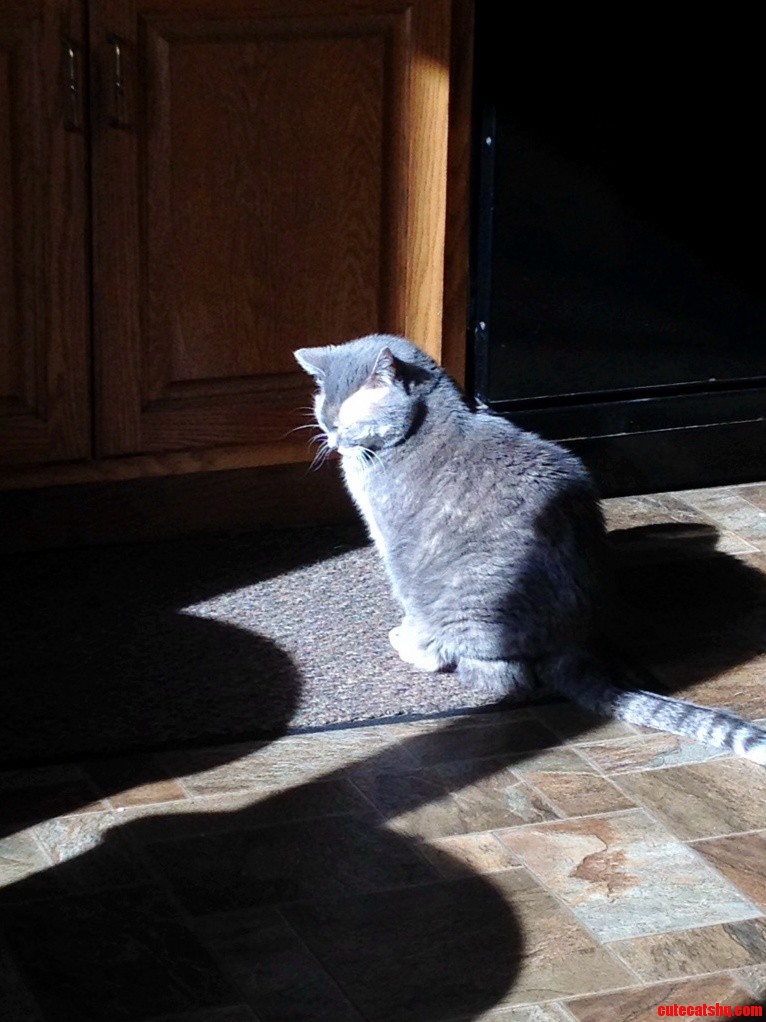 Soaking Up the Sun on This Chilly Day.