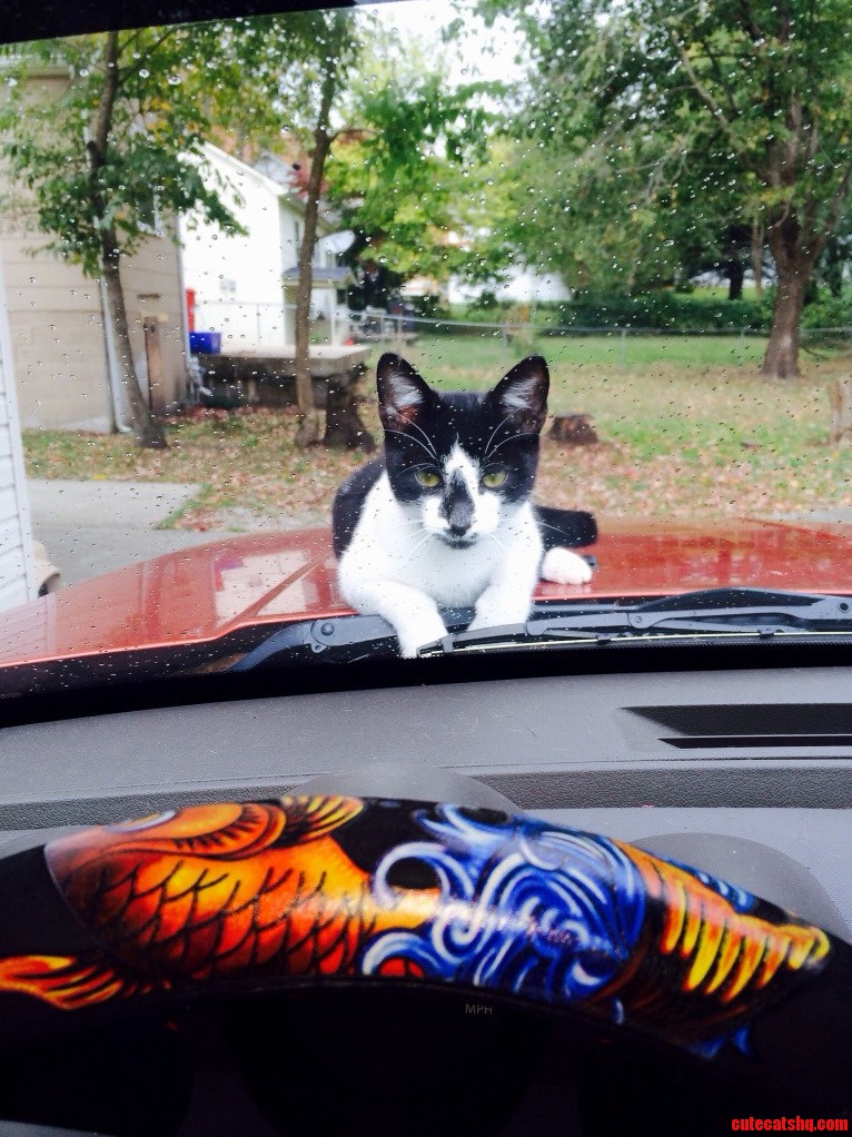 Someone Did Not Want Me to Leave for Work.
