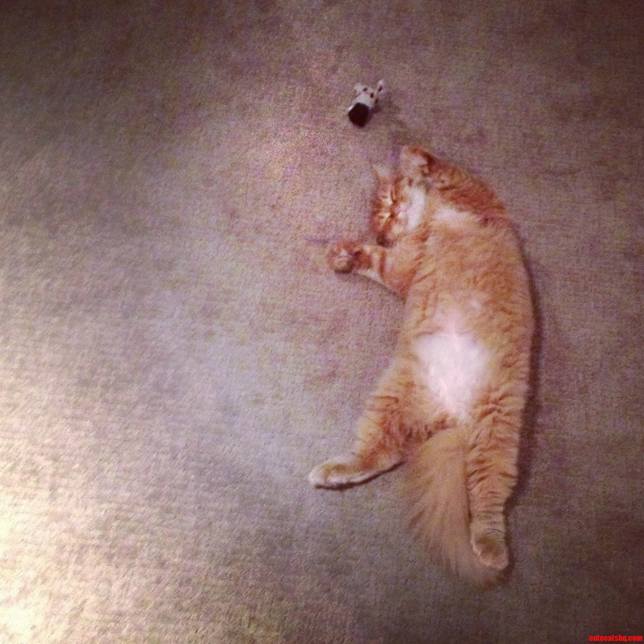 Someone Had a Tough Day