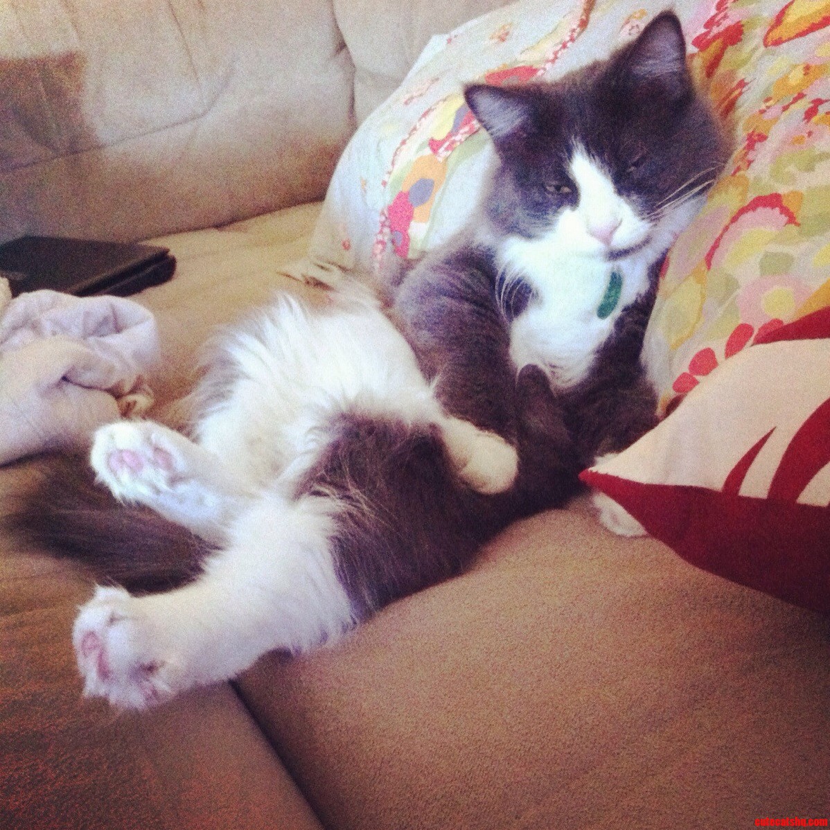 Sometimes He Thinks He Is People....