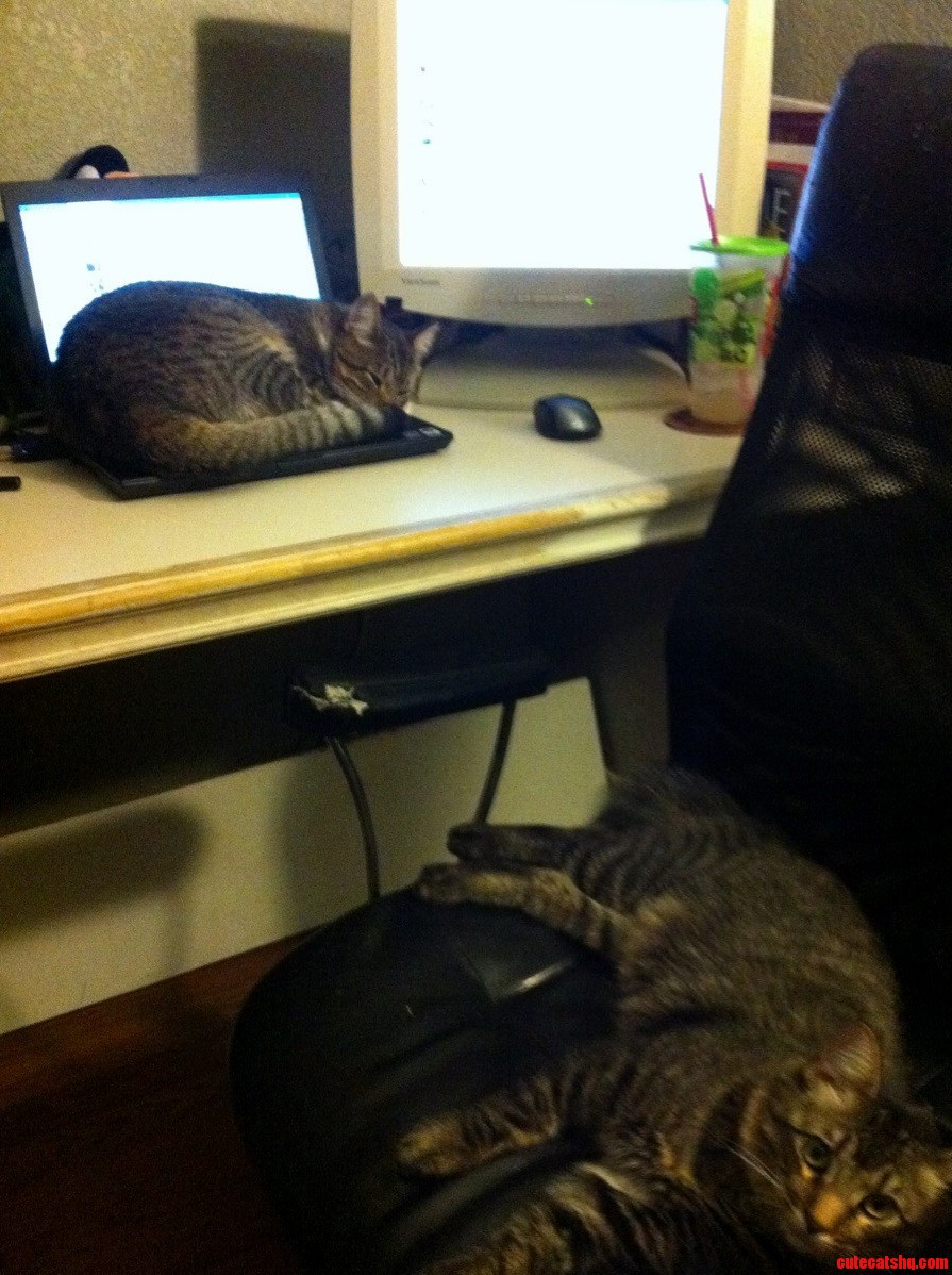 Sorry I Couldnt Get to My Computer.