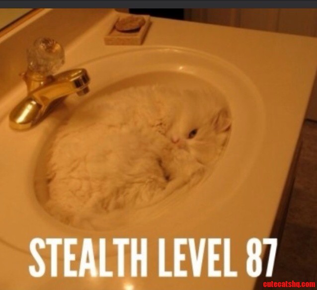 Stealth Level 87