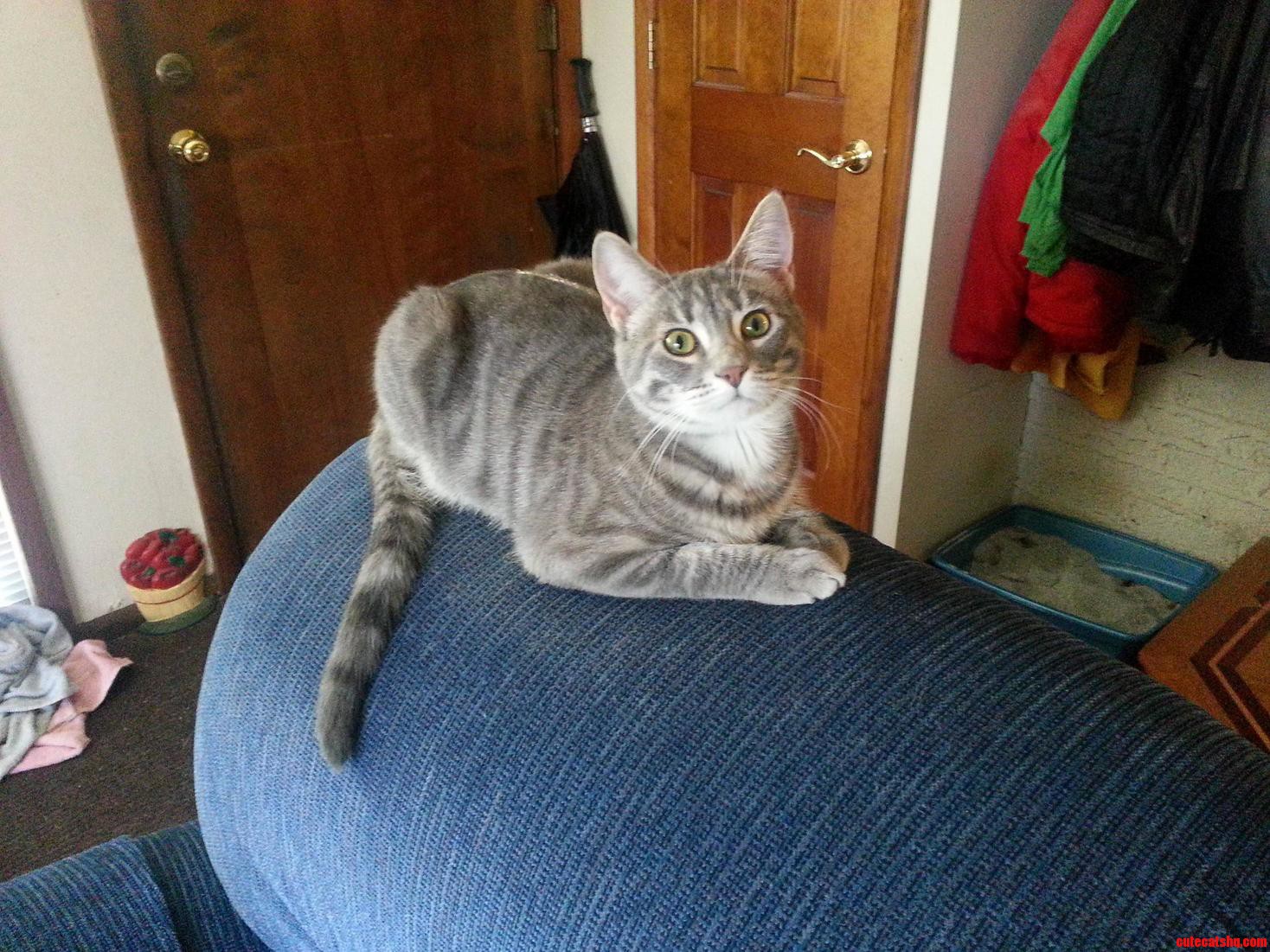 Stormi My Quiet Cuddly Girl