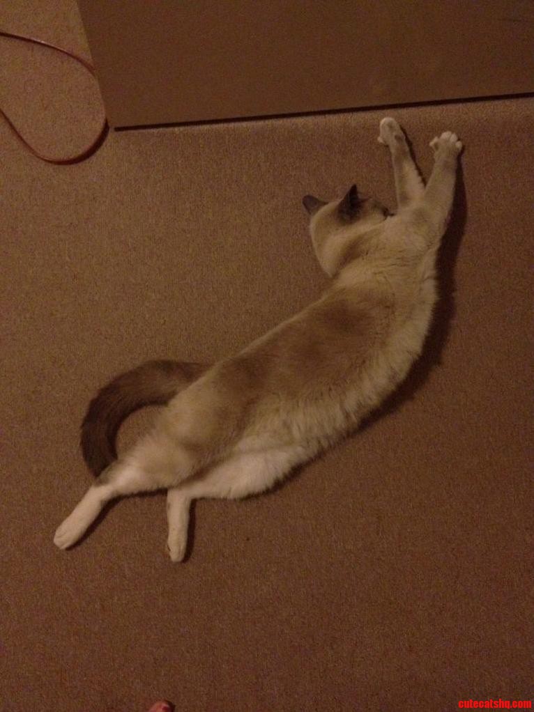 Streeeeeeech