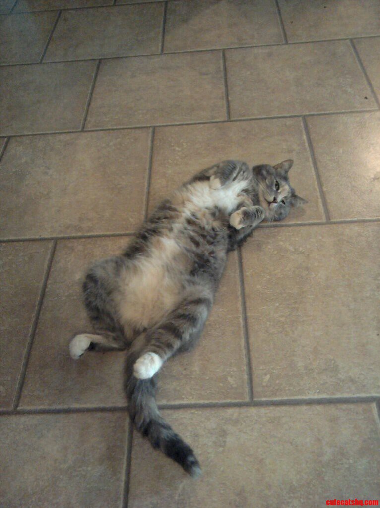Sunday Chillin