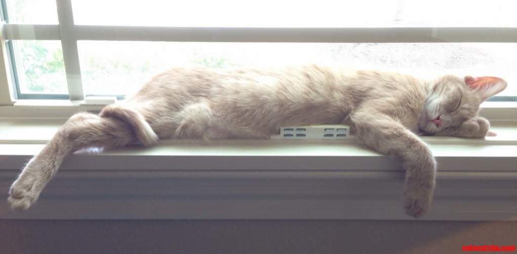 Sundays