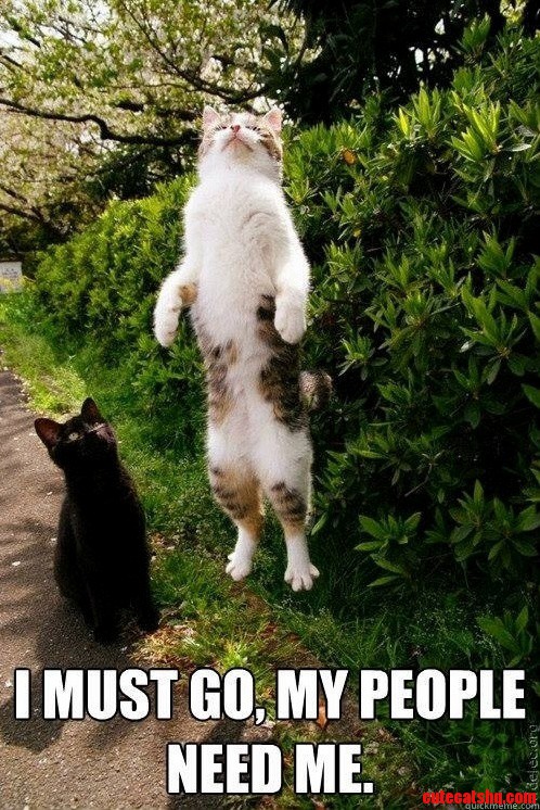Supercat