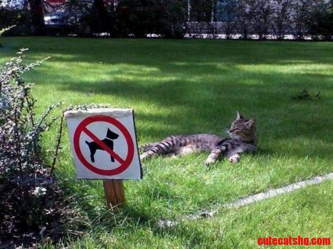 Technically Its Not Against the Rules...