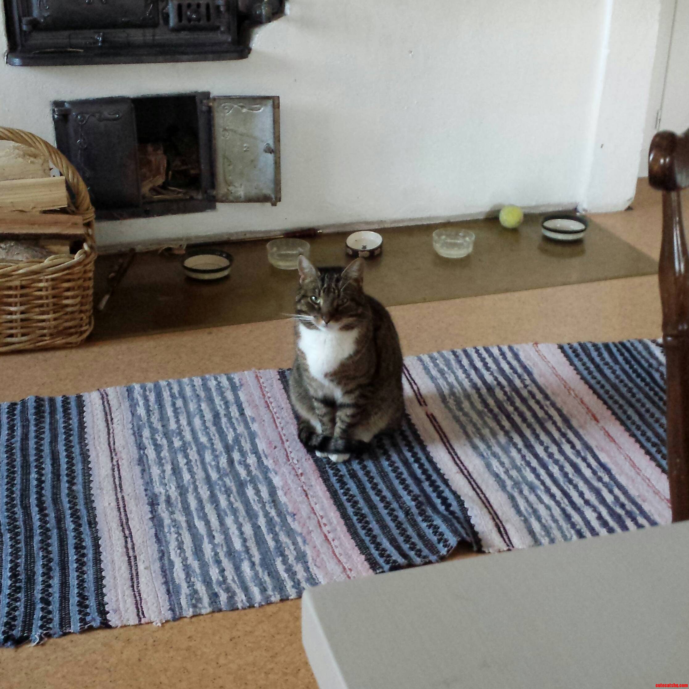 That Face. Hes Plotting to Kill Me...