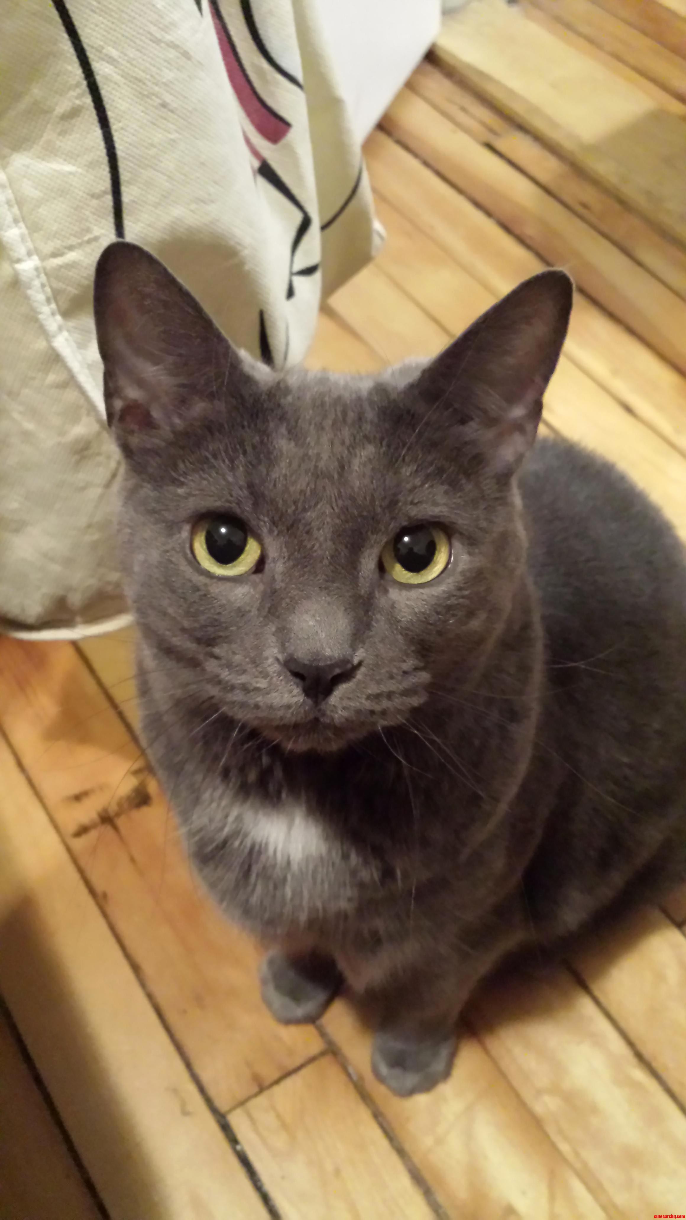That Face
