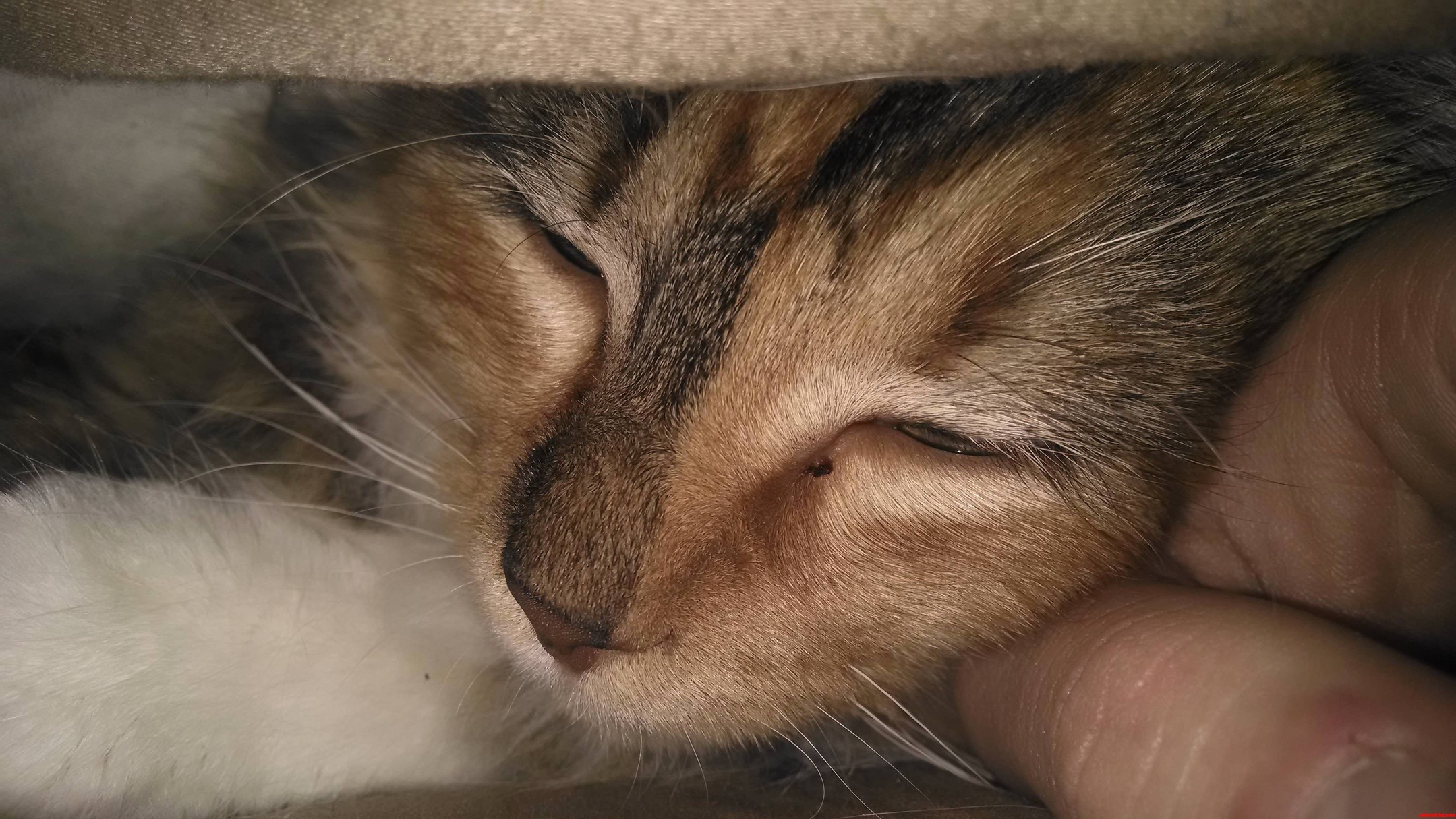That Feeling When You Are So Close to Falling Asleep.