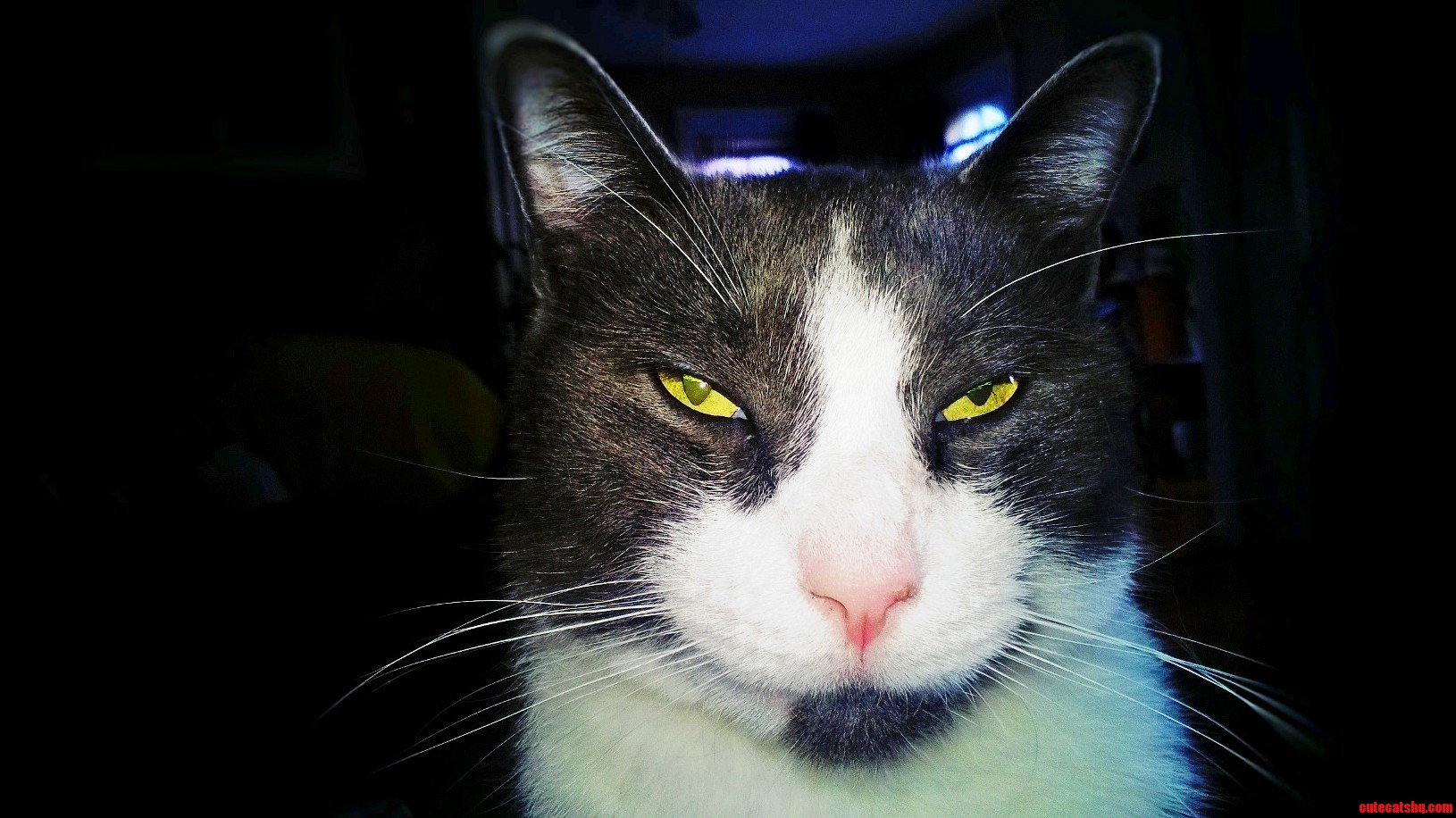 That Fine Line Between Adorable and Murderous.