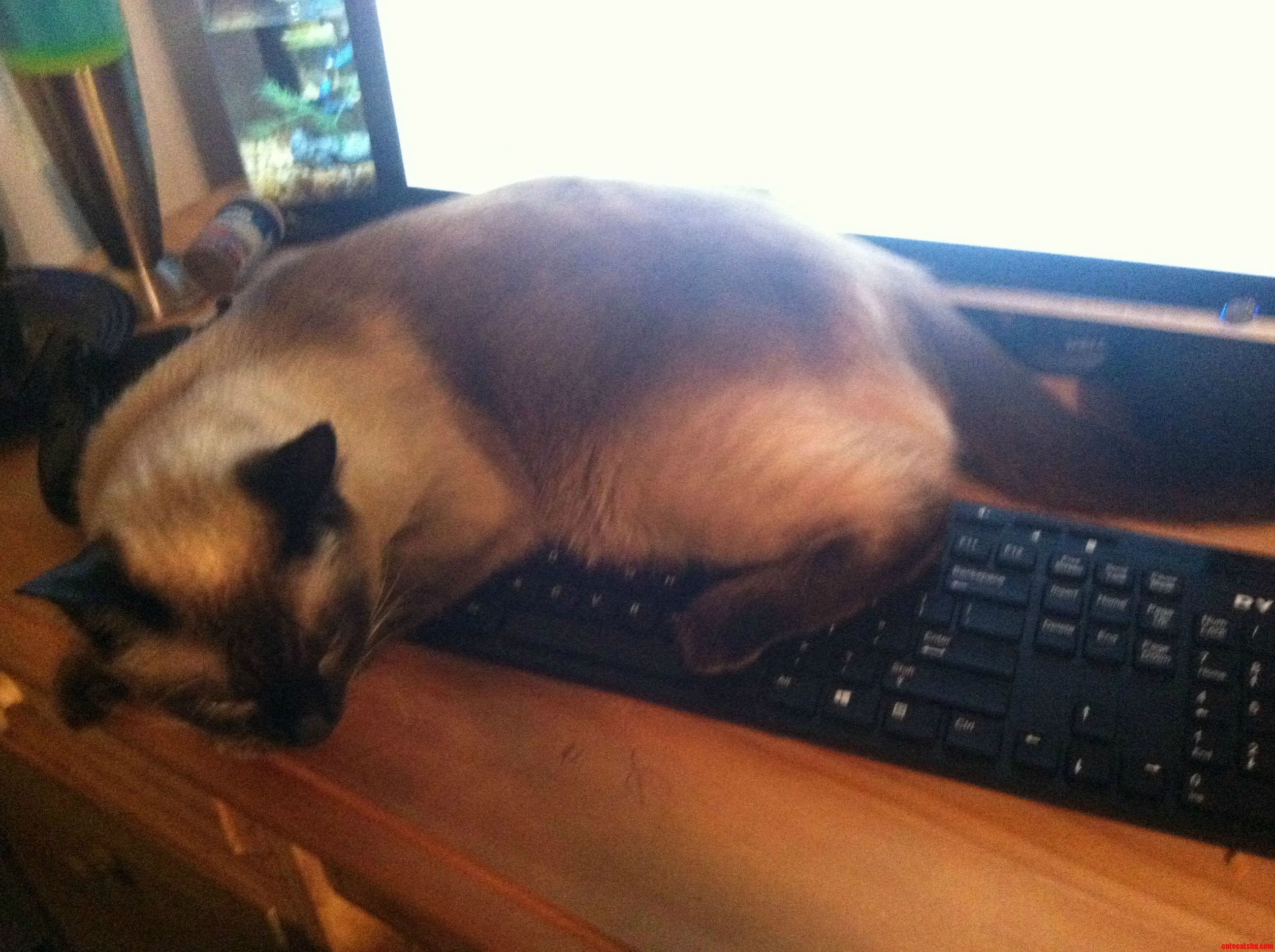 Thats Enough Human.