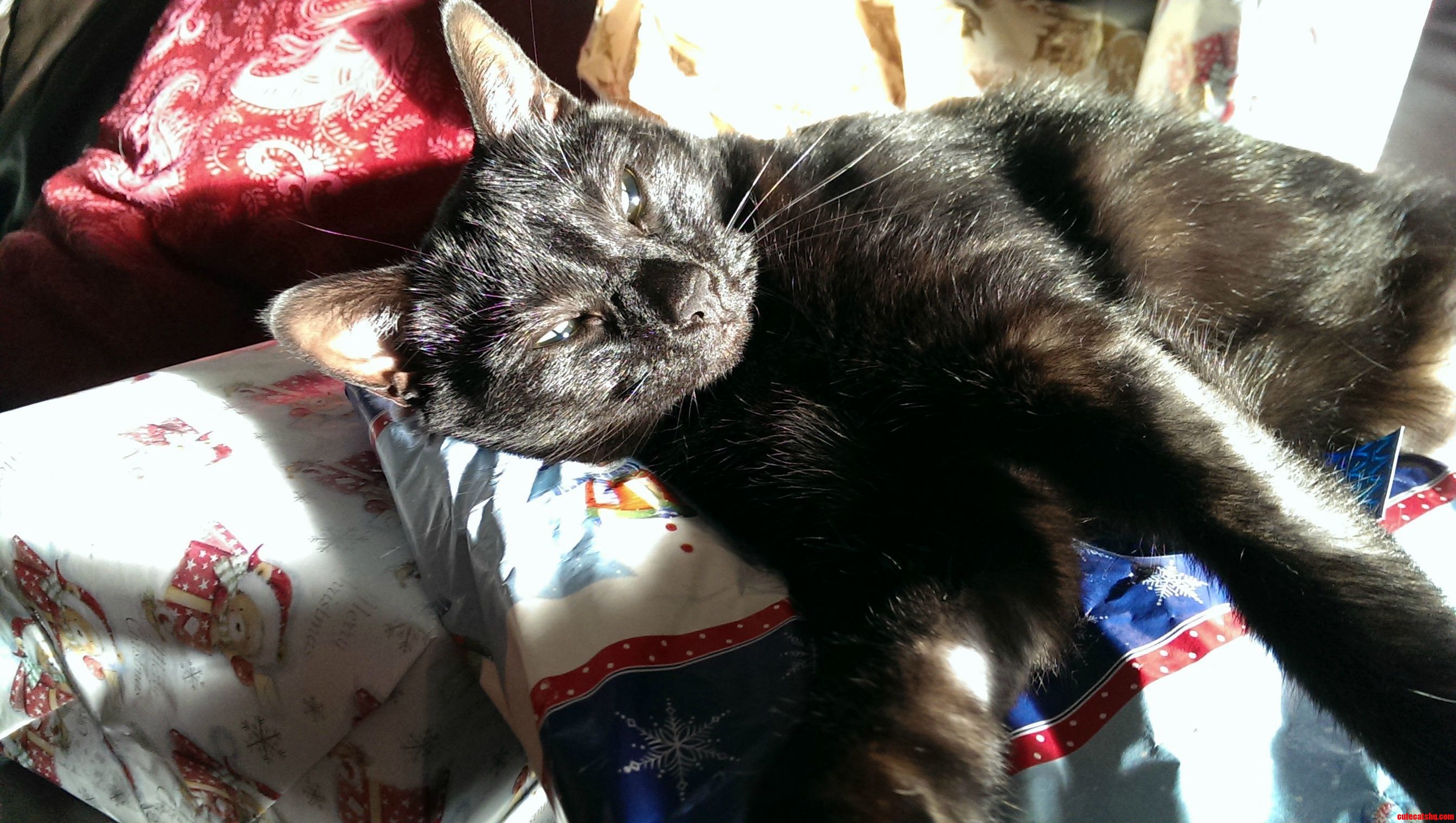 The Best Present